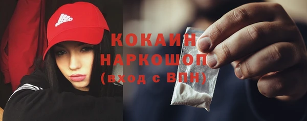 гидра Арсеньев