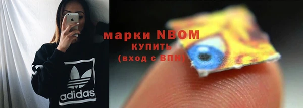 гидра Арсеньев