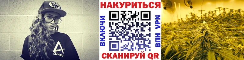 Бошки марихуана OG Kush Новопавловск